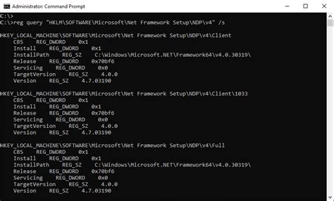 check net runtime version.